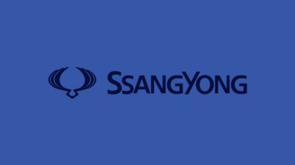 Кузовной ремонт покраска  SsangYong